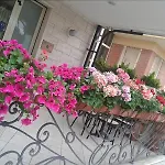 La Palazzina فندق
